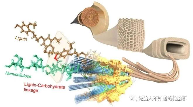 纖維素輕量化輪胎 引領東岳輪胎綠色新發展