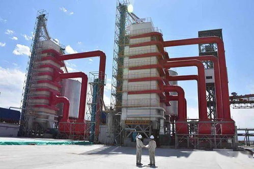 科創板的張江故事 六 凱賽生物 我國合成生物產業化第一股