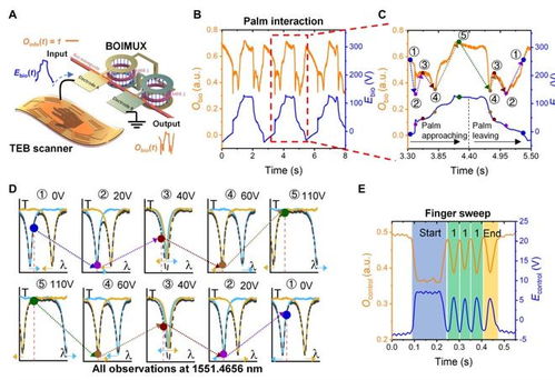 巧妙結(jié)合集成光子芯片和摩擦電技術(shù),新加坡國立大學(xué)團(tuán)隊(duì)研發(fā)高速通信基礎(chǔ)設(shè)施的生物識(shí)別保護(hù)技術(shù)
