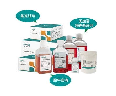 依科賽:聚焦胎牛血清、無血清培養(yǎng)基和鑒定試劑國產(chǎn)化和國際化